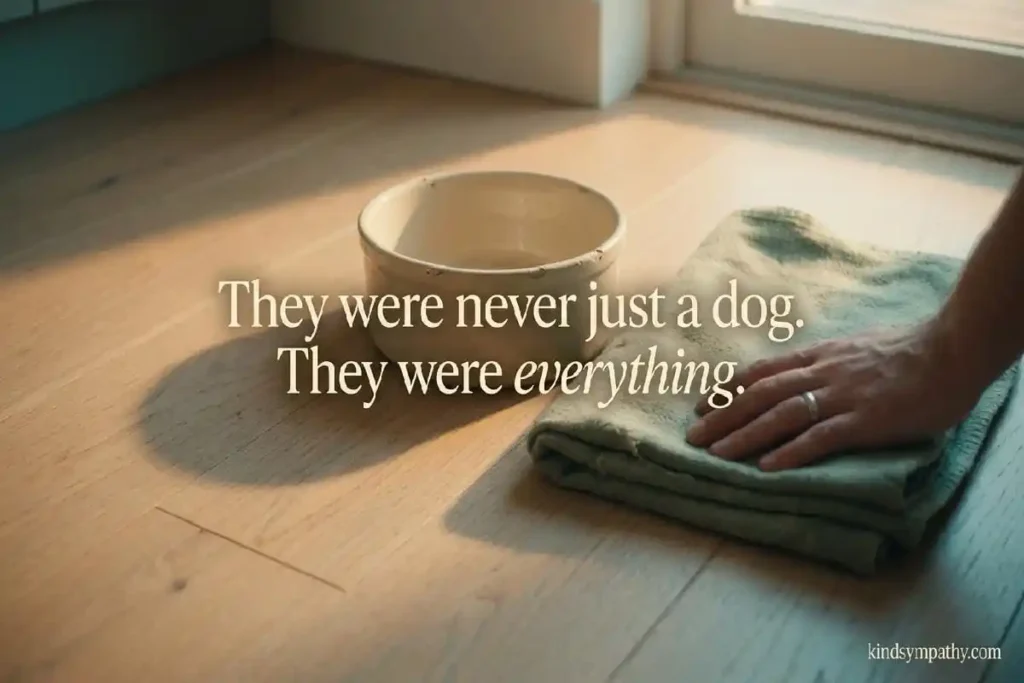 Dog loss sympathy — dog bowl and blanket on kitchen floor with a gentle hand, representing the physical grief of losing a beloved dog companion